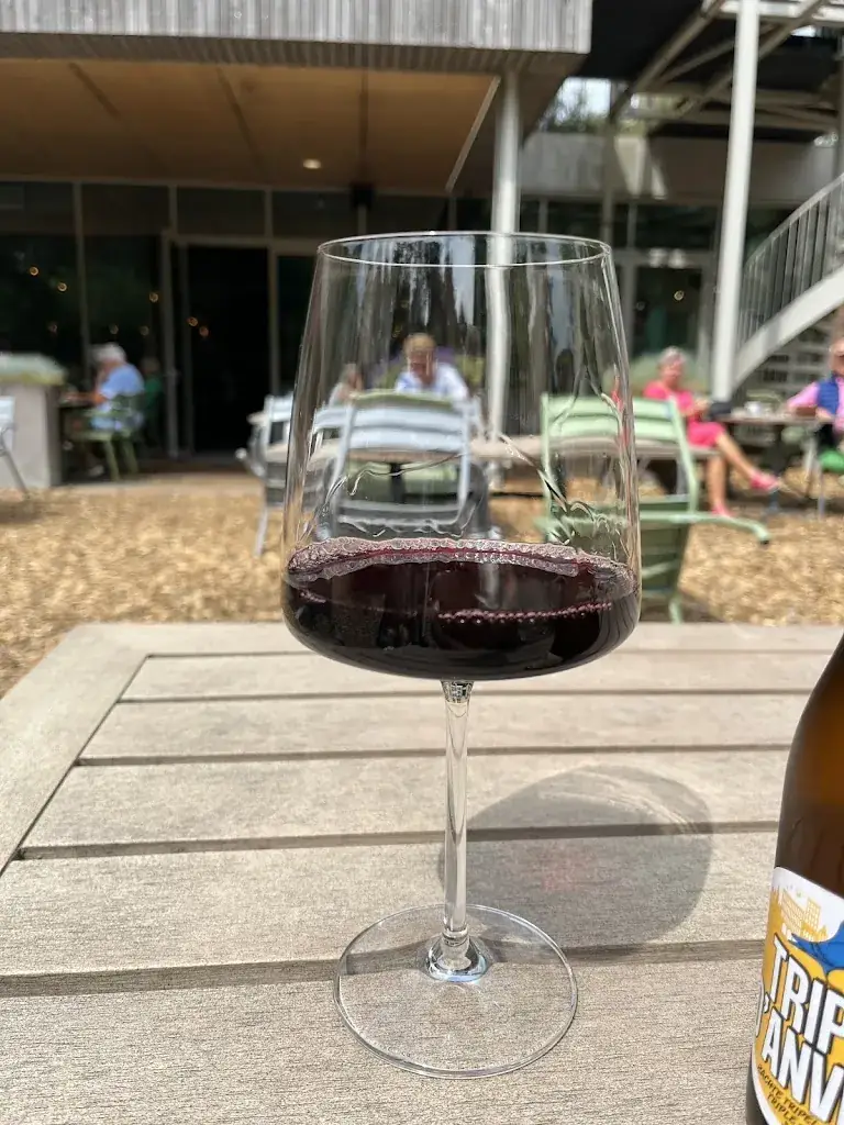 Robert_Brasserie Bozlust_Zoom_review