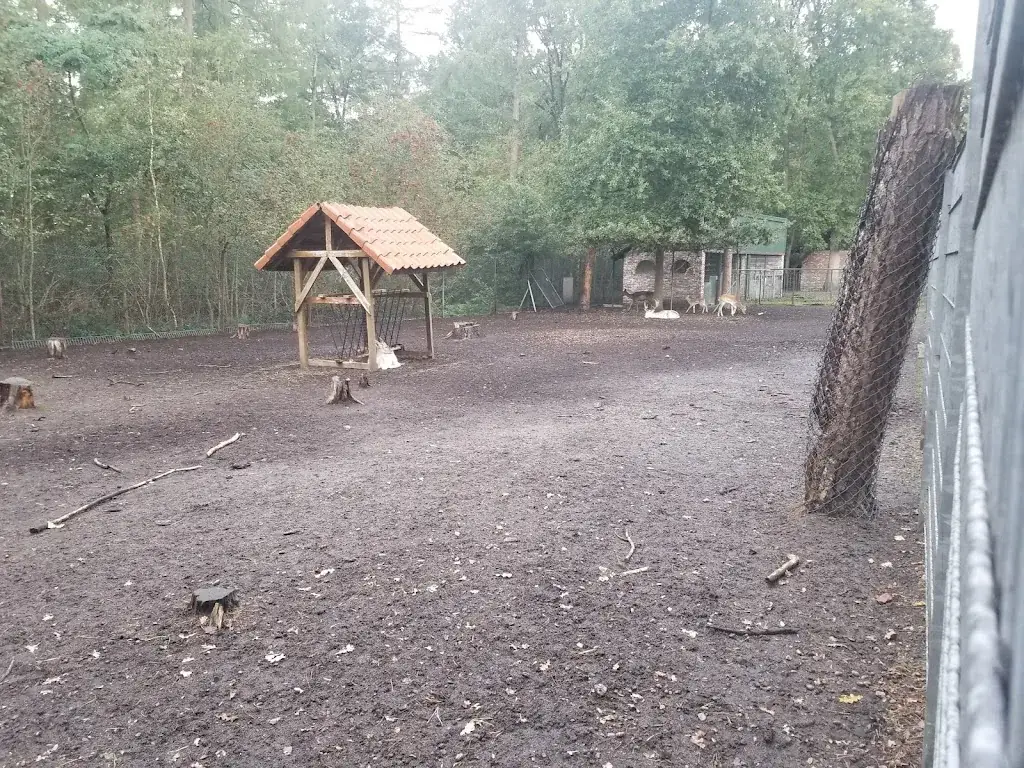 teampakzadeh_'t Appeltje_Zoom_recensione