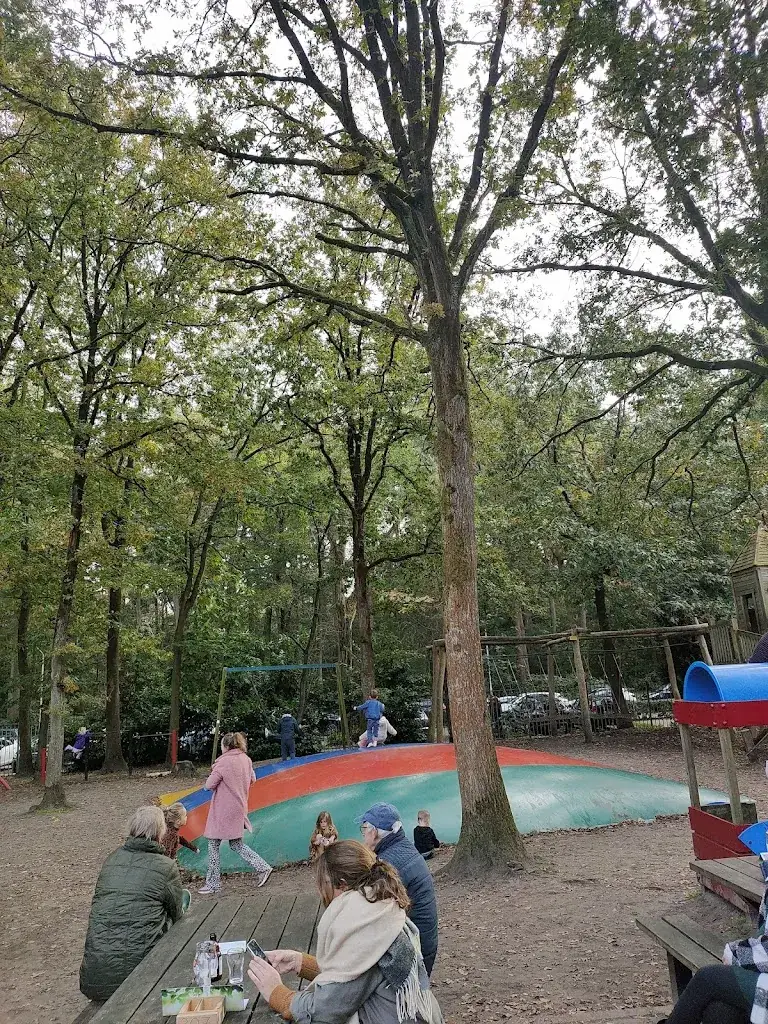 Matteo Sergiu_'t Appeltje_Zoom_recensione