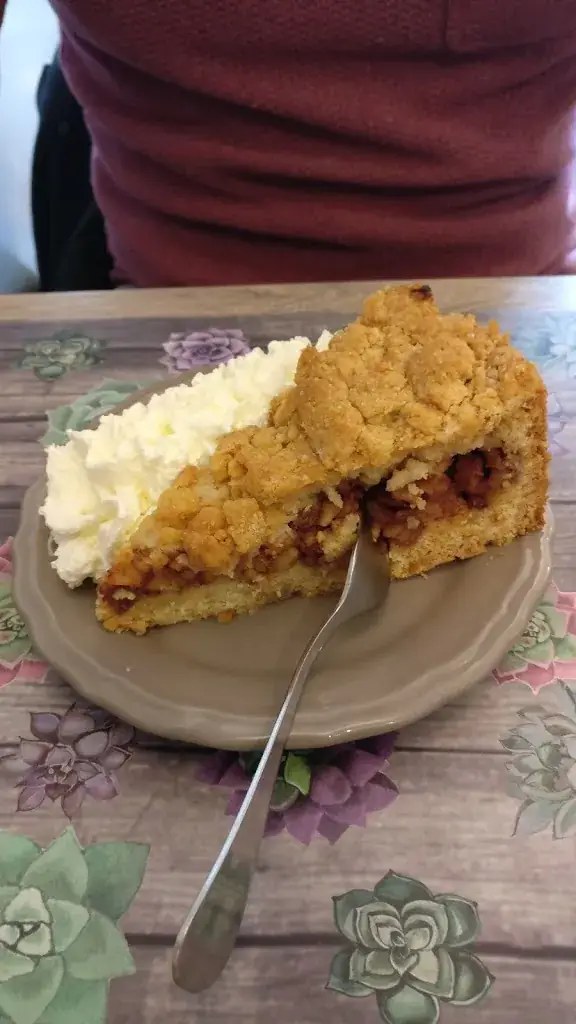 Jessie Callaert_the Old Bakery_Zoom_review