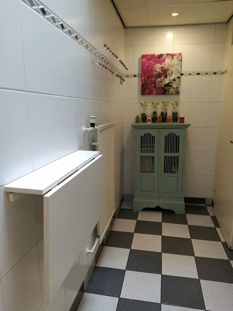 Olivier Schietecat_the Old Bakery_Zoom_review