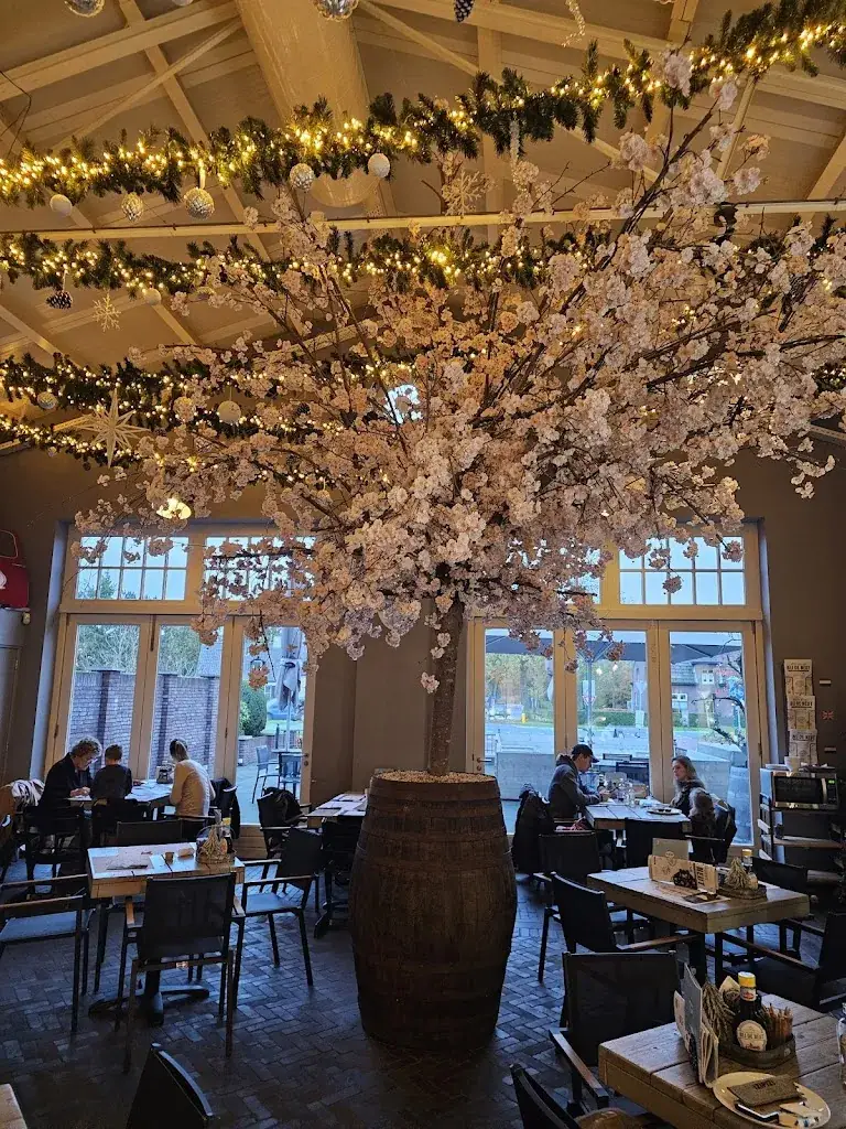 Madhur Bhargava_Bij de Neut_Westerhoven_review