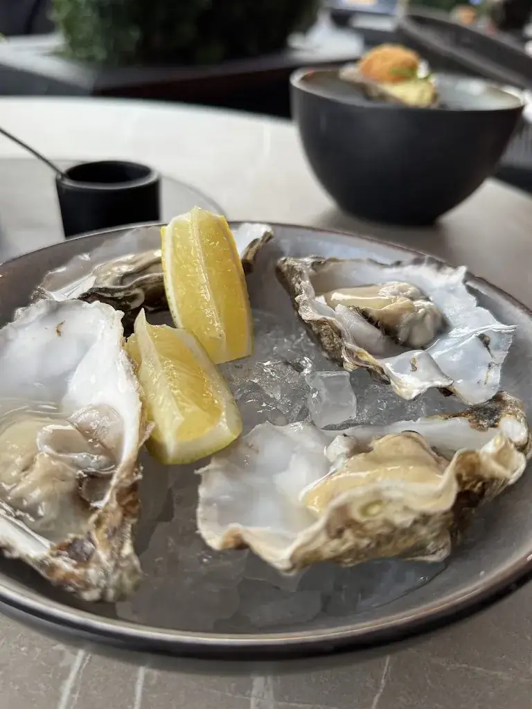 Szonja Balogh_Restaurant Eindhoven Dijk9_Eindhoven_review