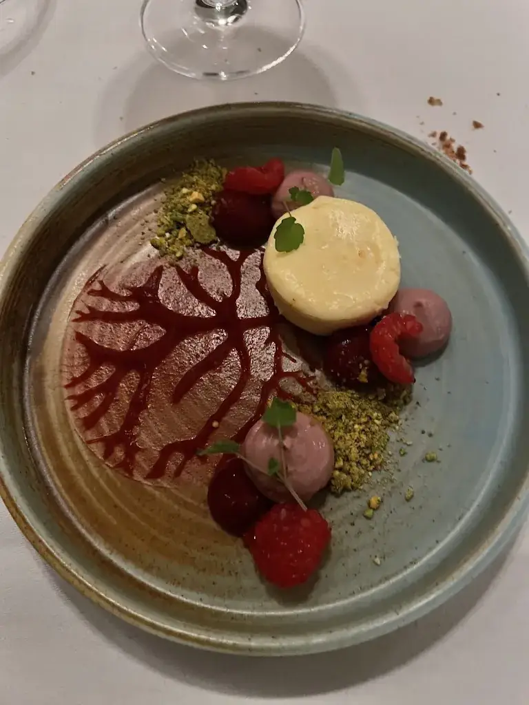 Arvind Ravichandran_Restaurant Crijns_Bladel_review