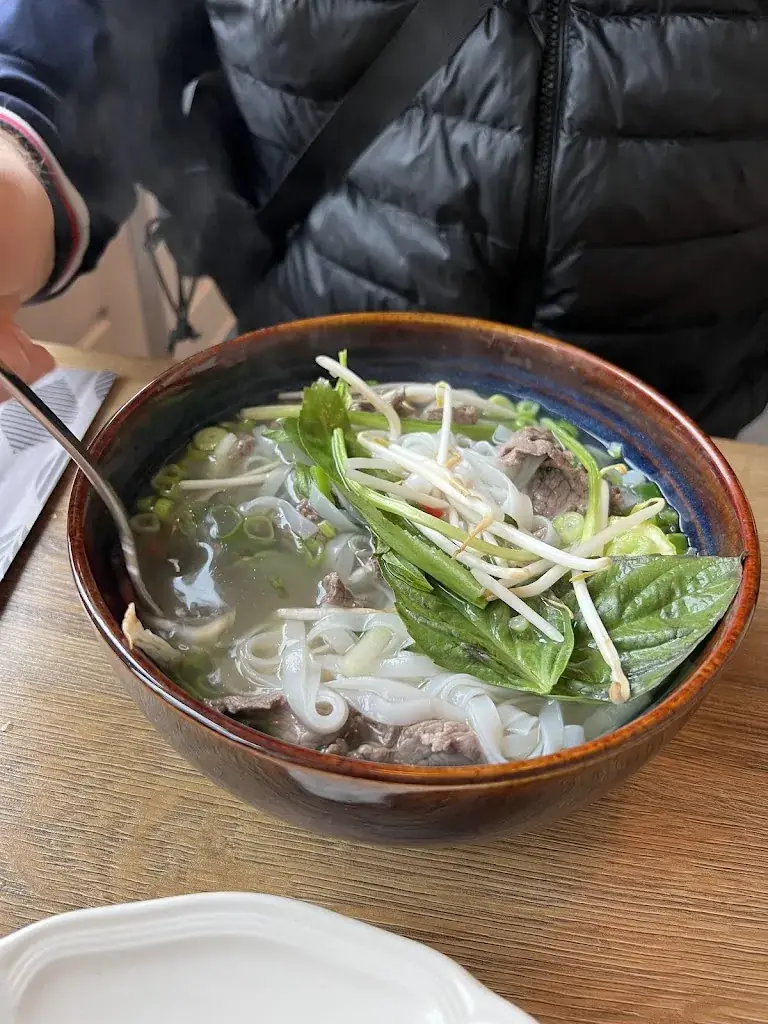 Margarita Vovnyuk_Phở max_Bladel_review