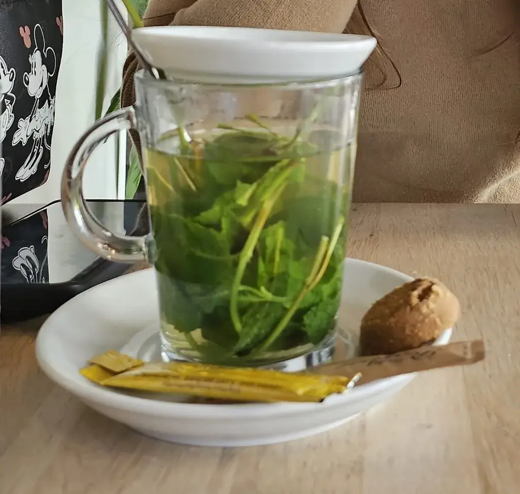 Maria Lenuța Chis_Restaurant Bargo_Bosschenhoofd_review