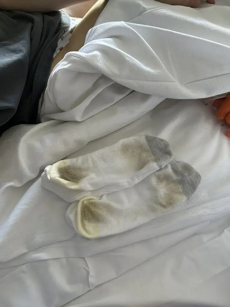 Artem Bavarskii_Fletcher Hotel-Restaurant De Reiskoffer_Bosschenhoofd_recensione