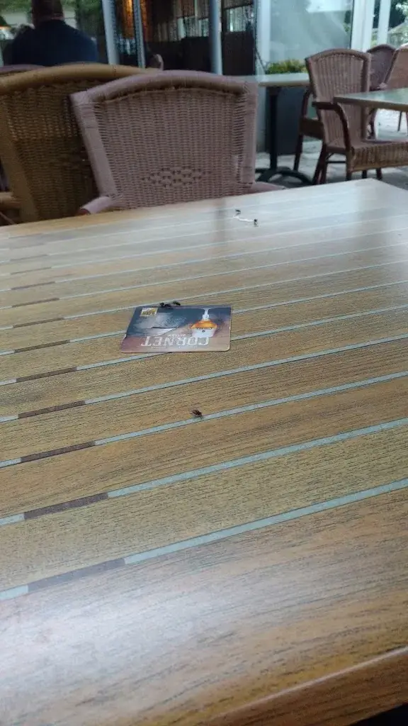 floriana de maio_Grieks Mediterraans Restaurant Asteria_Boekel_review