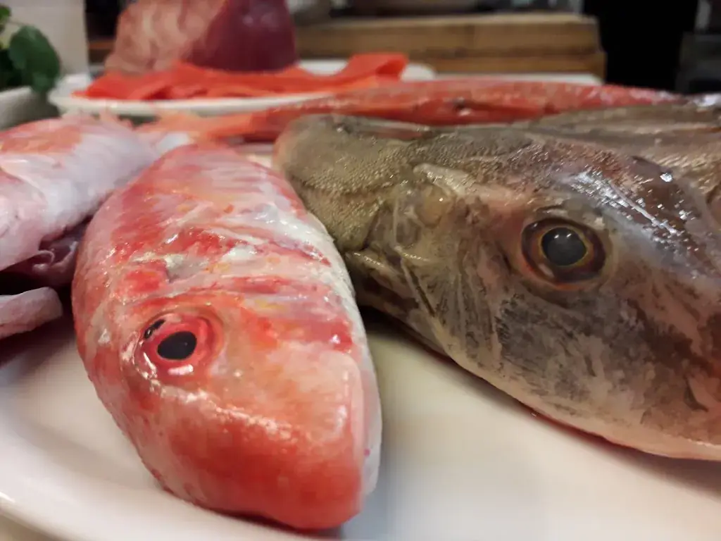 Menu_PIZZERIA ROSSOBLU_Vries_image_8