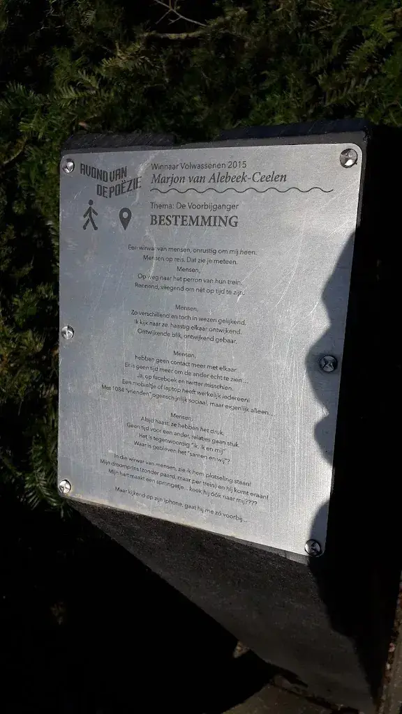 Clara de Winter_Nia Domo_Boekel_review