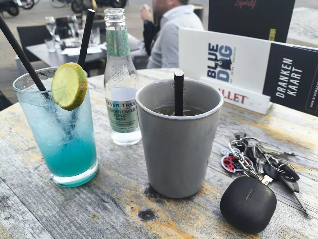 Hristina_Blue Dog Breda_Breda_review