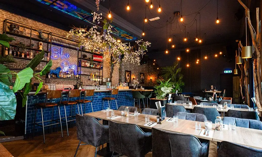 Blue Dog Breda restaurant in Breda