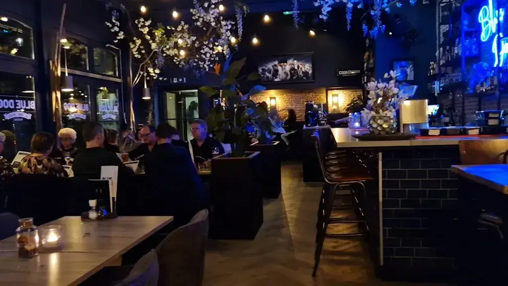 Blue Dog Breda_Breda_slider_image_2