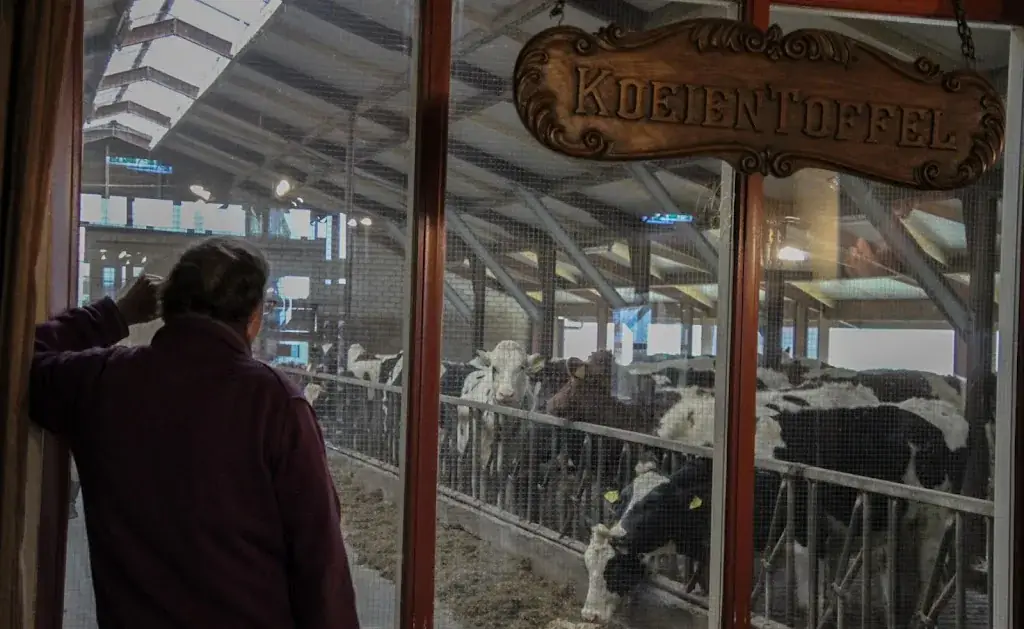 Farm Terrace Jacobushof_Boxtel_slider_image_1