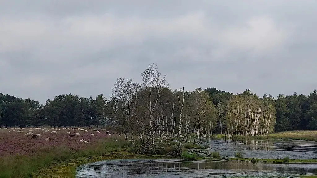 Schaapskooi Bargerveen_Weiteveen_slider_image_2