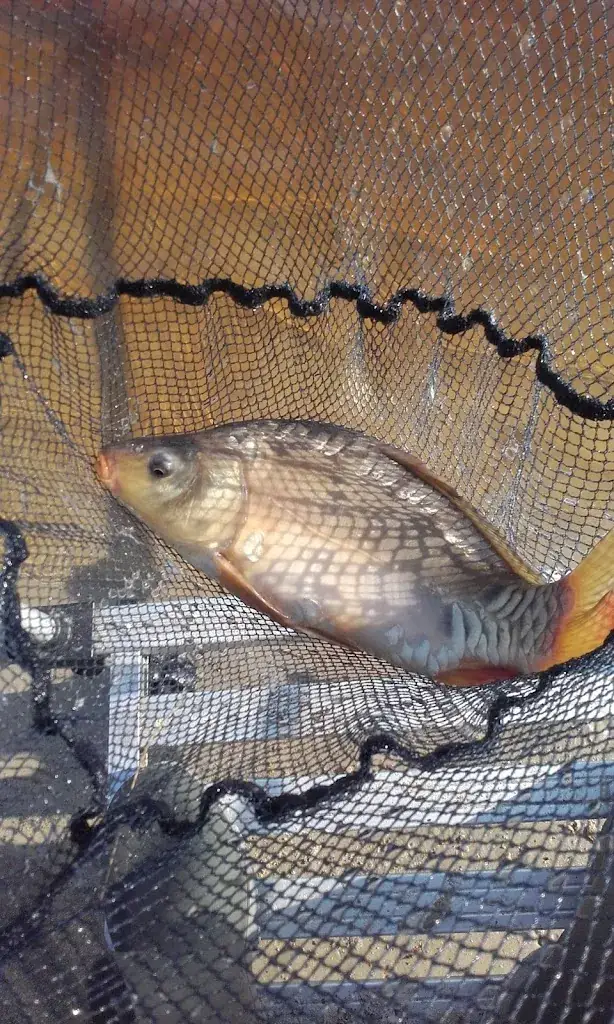 Menu_Restaurant Landgoed Zwartemeer_Zwartemeer_image_9