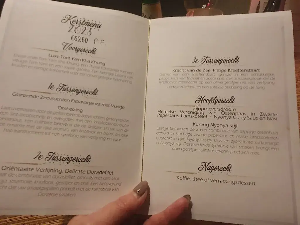 Menü_Nyonya & Thai Eastern Grill Restaurant_Son_Bild_1