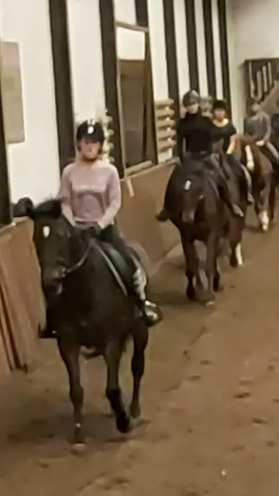 Café Restaurant De Wolfshoek_Huijbergen_slider_image_2