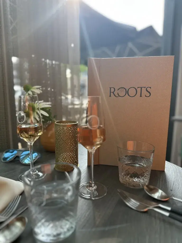 Jacqueline HvP_Roots Budel_Budel_review