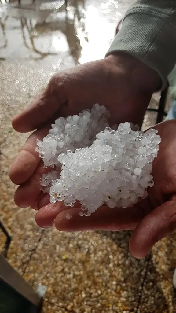 Menü_Café De Sport_Budel-Schoot_Bild_4