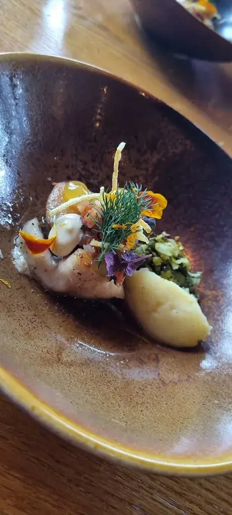 Merel Zoetmulder_De Bout_Soerendonk_review