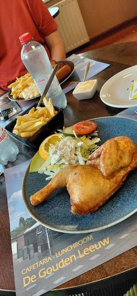 CFI vdB (FleurigRoos)_De Gouden Leeuw_Chaam_review