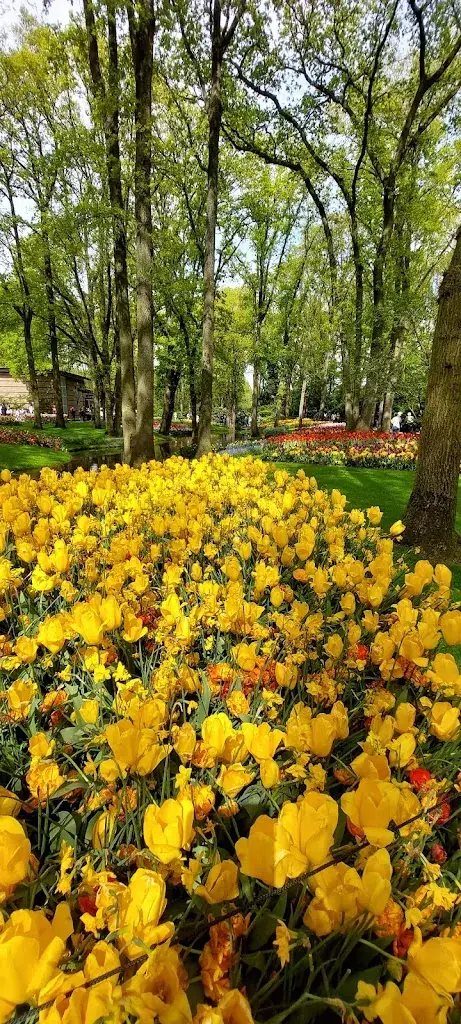 Will De Jong_Brasserie 't Smokkelstrand_Chaam_review