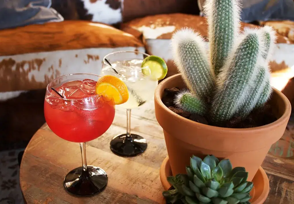 Baek Food & Drinks_Rotterdam_slider_image_3