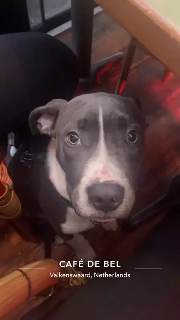 Café de Bel_Valkenswaard_slider_image_2