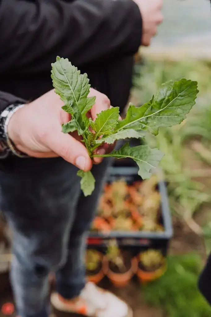 Menü_Spoon restaurant_Cuijk_Bild_7