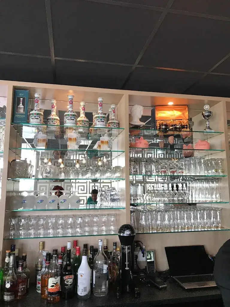 Amin Salek_Horizon_Cuijk_review