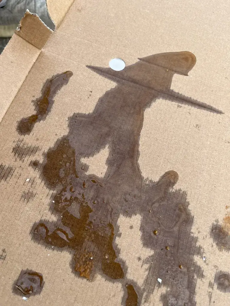 Eriejohn Nathaniel Lagoc_Vledder Plaza_Vledder_review