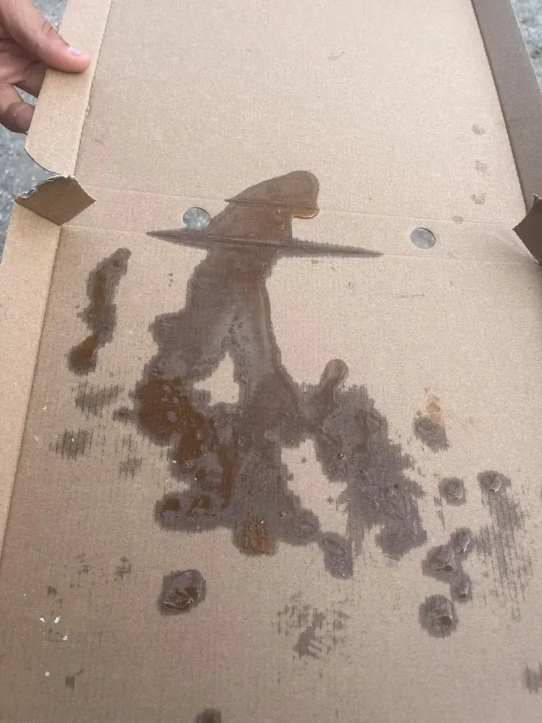 Hessel Willemsen_Vledder Plaza_Vledder_review