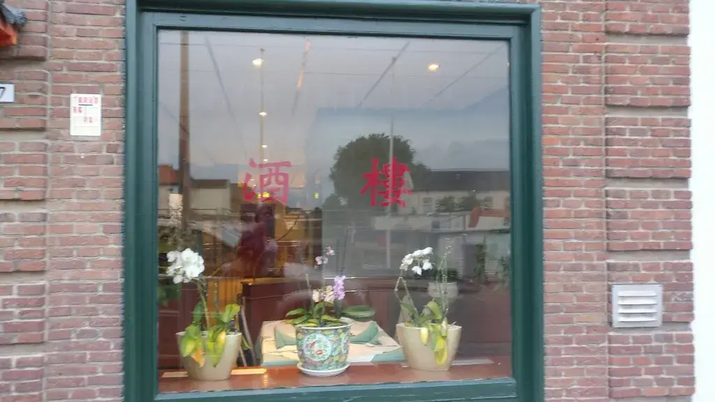 Anita v. O._Kota Radja_Dinteloord_review