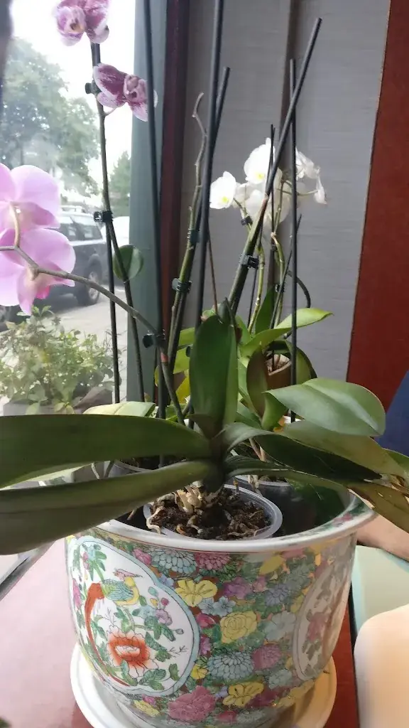 Kota Radja_Dinteloord_slider_image_2