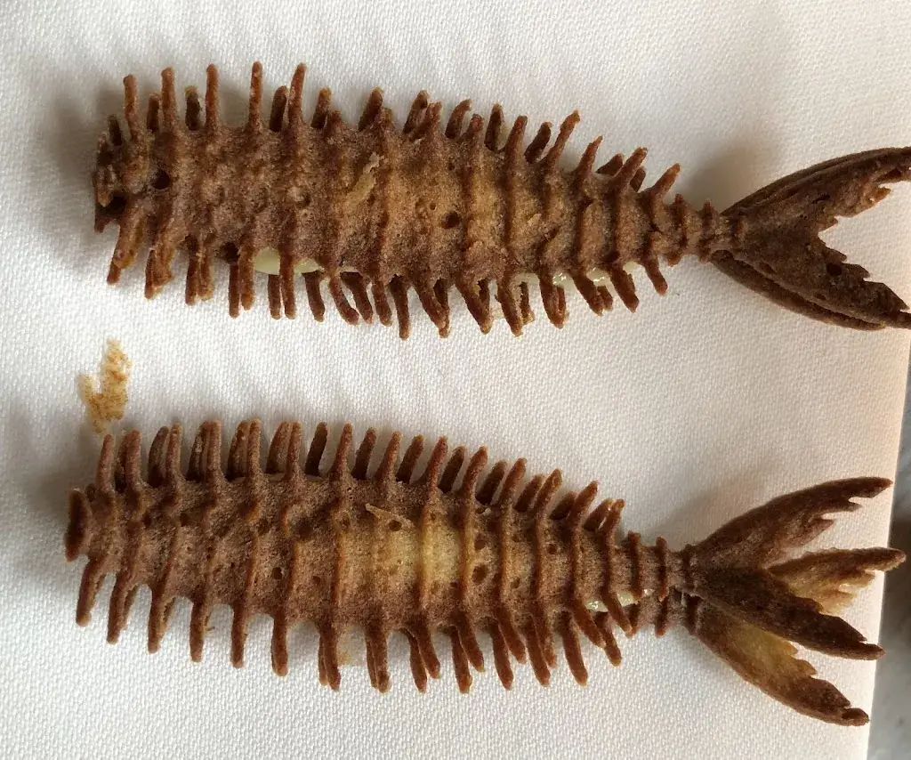 Robert Mares_In de Oude Stempel_Steenbergen_review