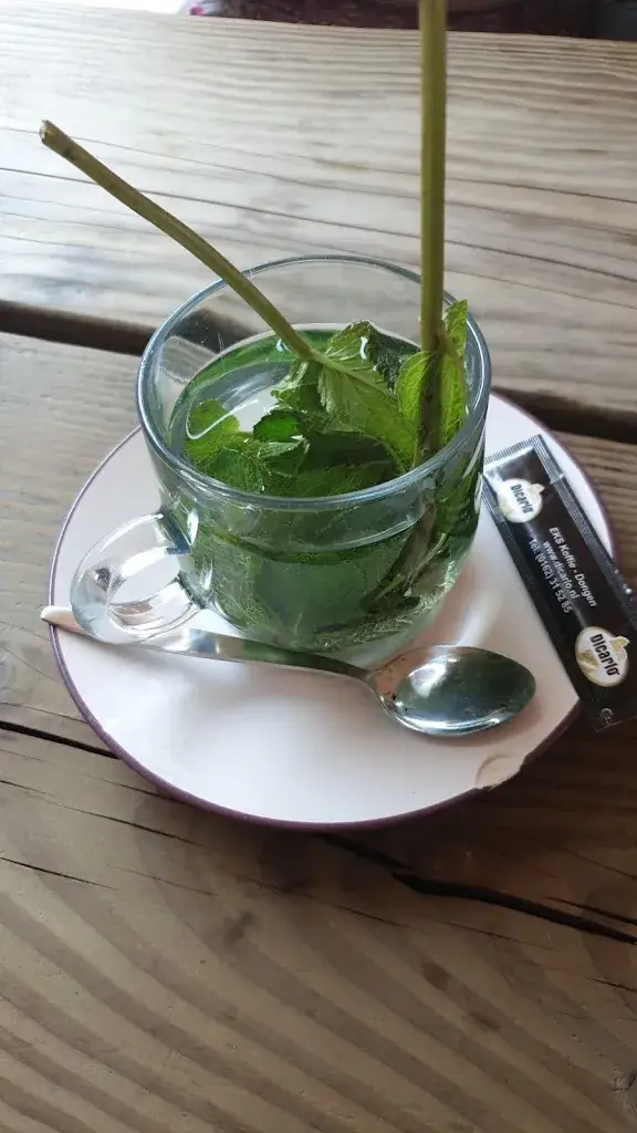 Bram Muns_Jacobushoeve_Dorst_review