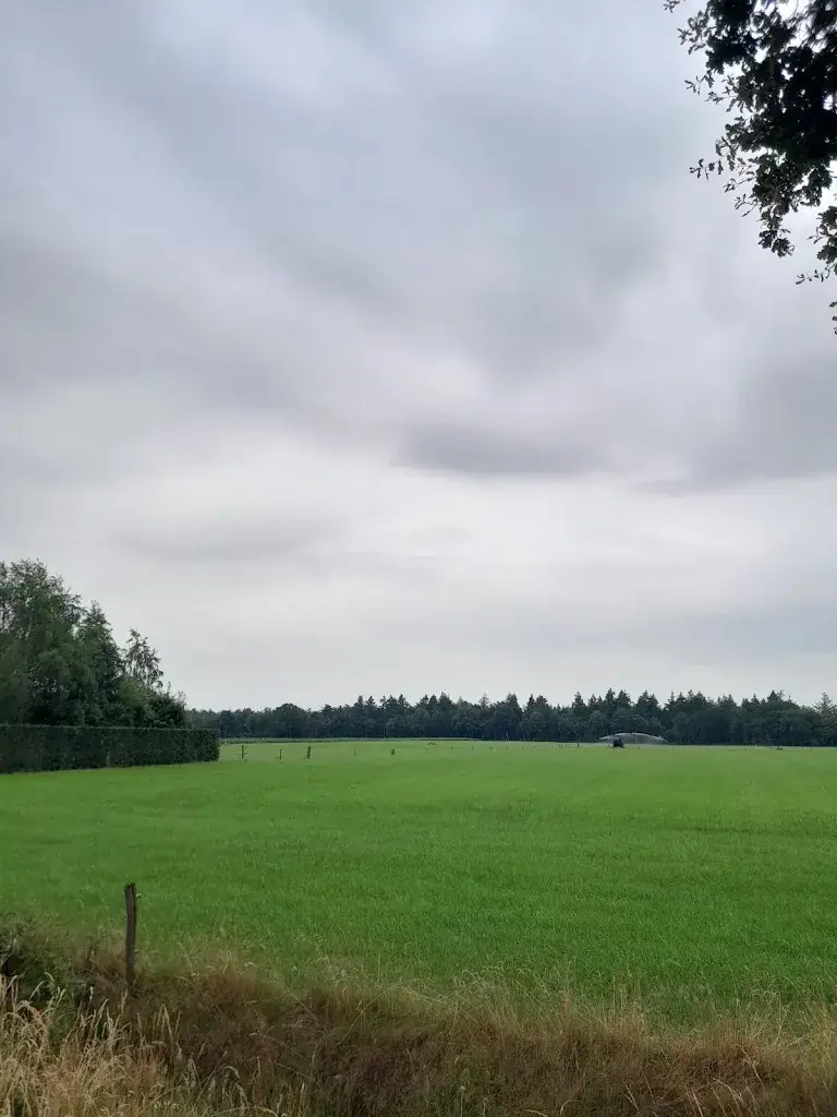 Jules_Jacobushoeve_Dorst_review