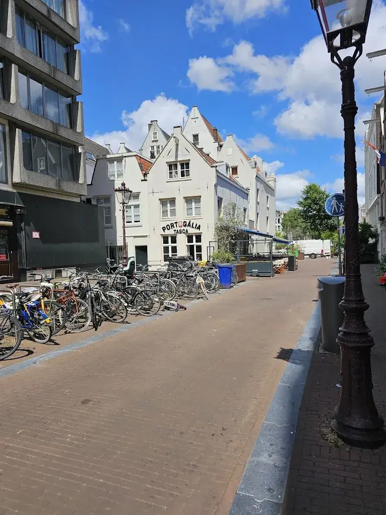 Laura CC_Portugalia Tasca_Amsterdam_review