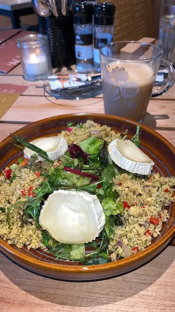 monica altisent aragones_Janssen en Van Dongen_Prinsenbeek_review