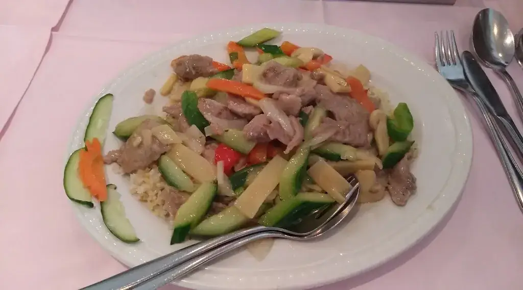 Tomáš Kríž_Chinese-Indisch Restaurant Lotus Garden_Waalre_review