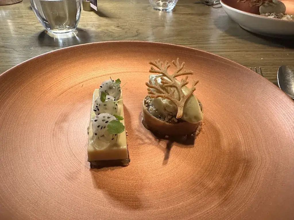 Jixuan Mou_EDEN_Waalre_review