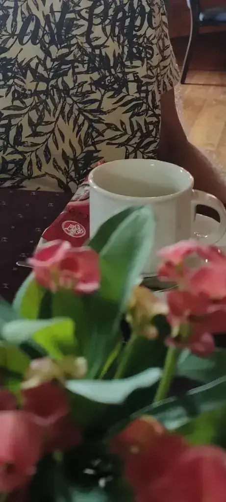 NO_STRESS_Café Zaal De Schuif_Gemonde_review