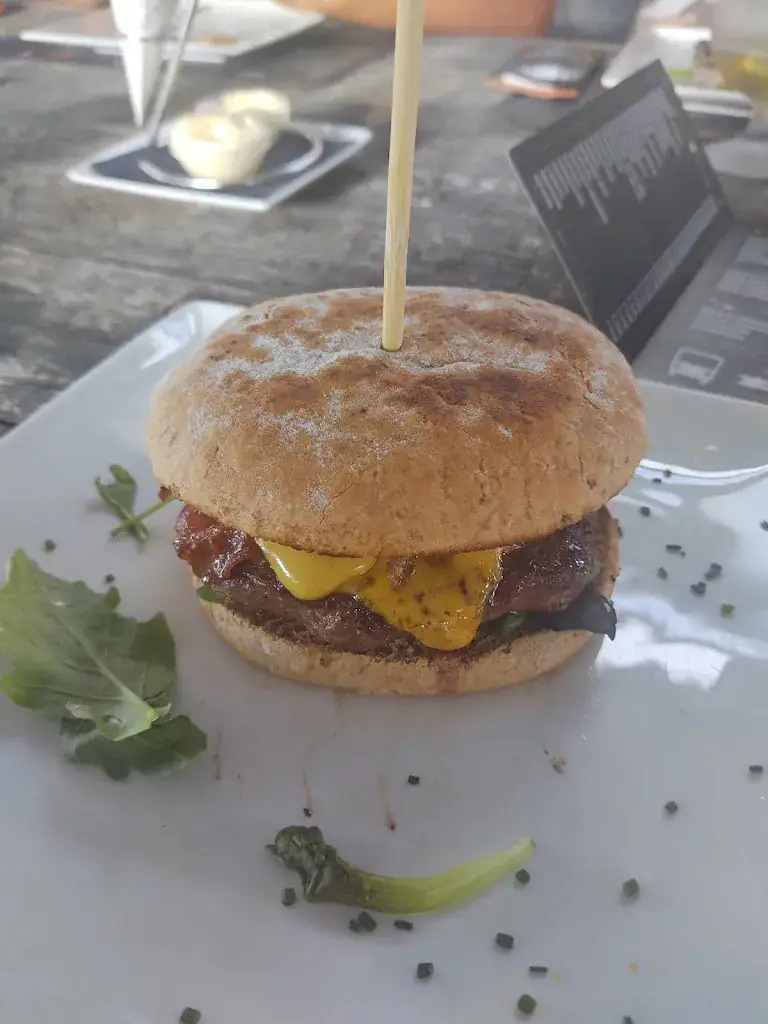 CAR LOS_'t Hart van Genderen_Genderen_review