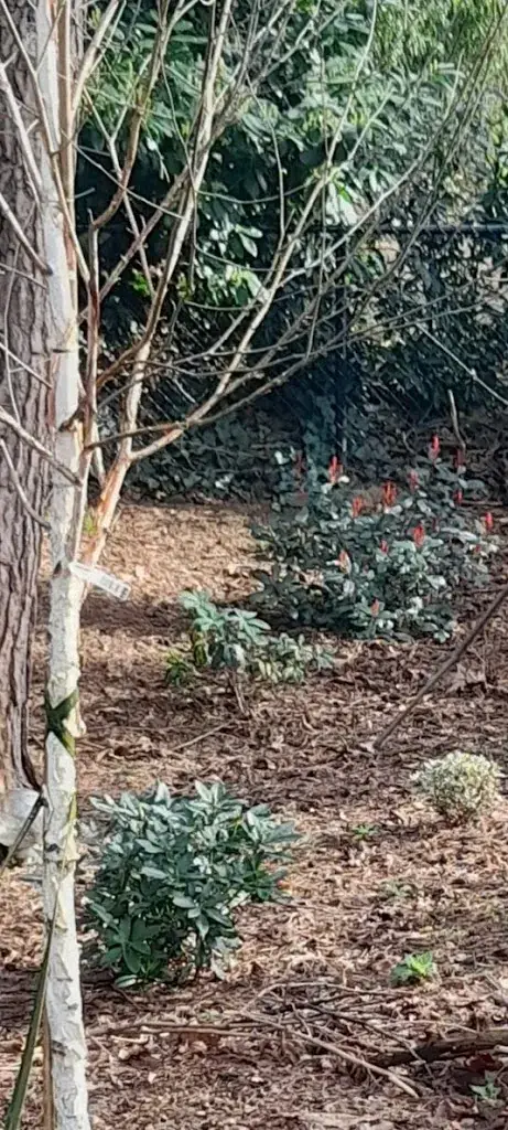 Eric Visser_Grand Café / Cafetaria / Zaal - De Hof van Gilze_Gilze_review