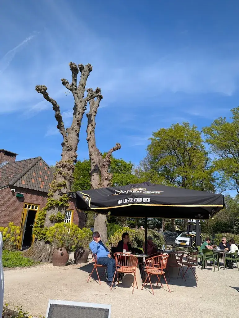 Marc Broekmans_De Schaapjes Haaren_Haaren_review