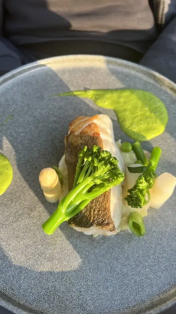 Yin Y._Divino_Hapert_review