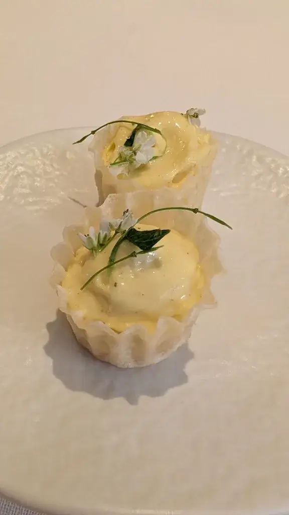 Omar Vallenilla_Salon de Provence_Breda_review