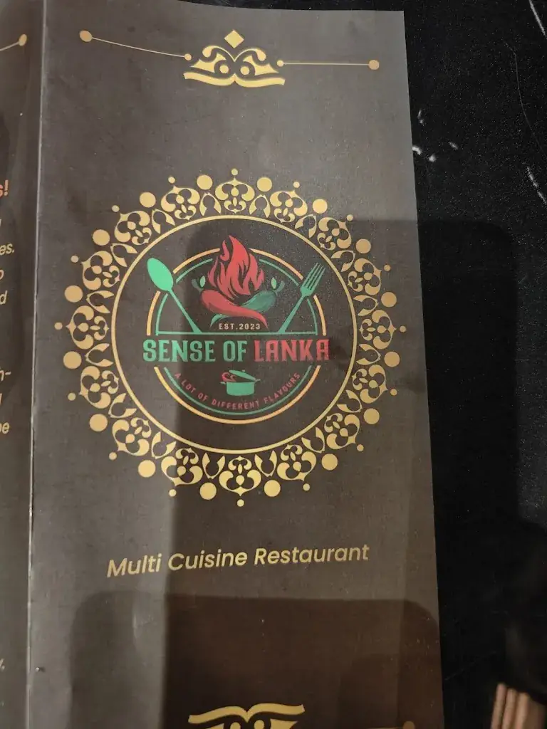 Shivam Chandna_Sense of Lanka_Eindhoven_review