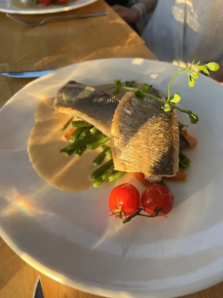 Jakub M Ochab_Bomenpark_Heesch_recensione